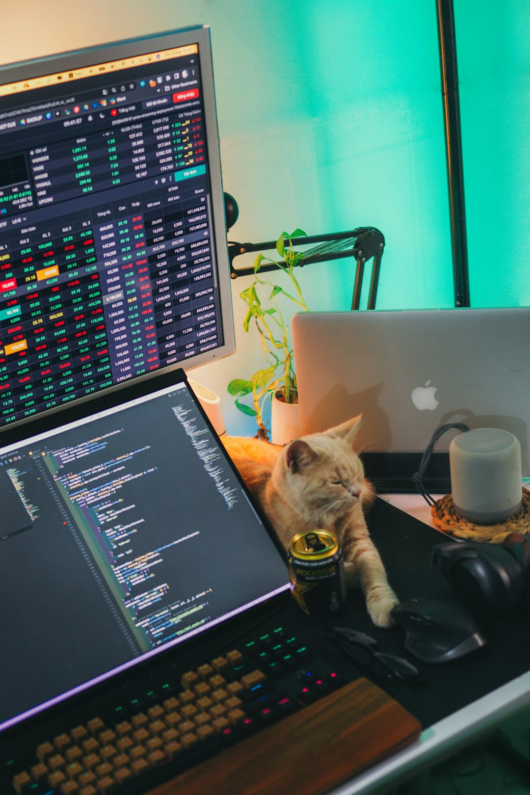 Trading Psychology